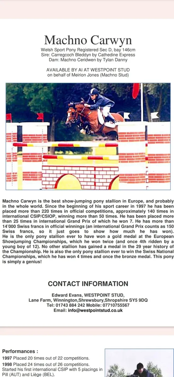 16hh schoolmistress - Image 4