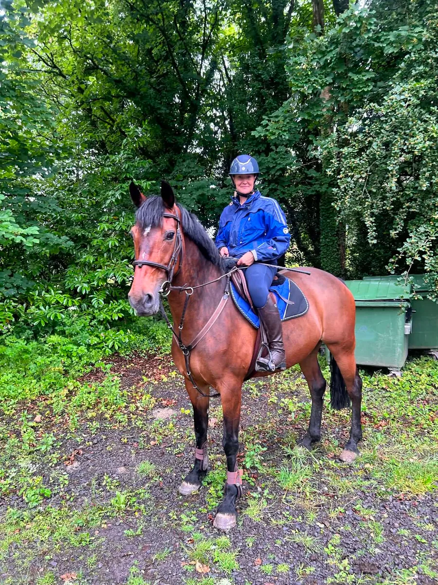 16hh schoolmistress - Image 1