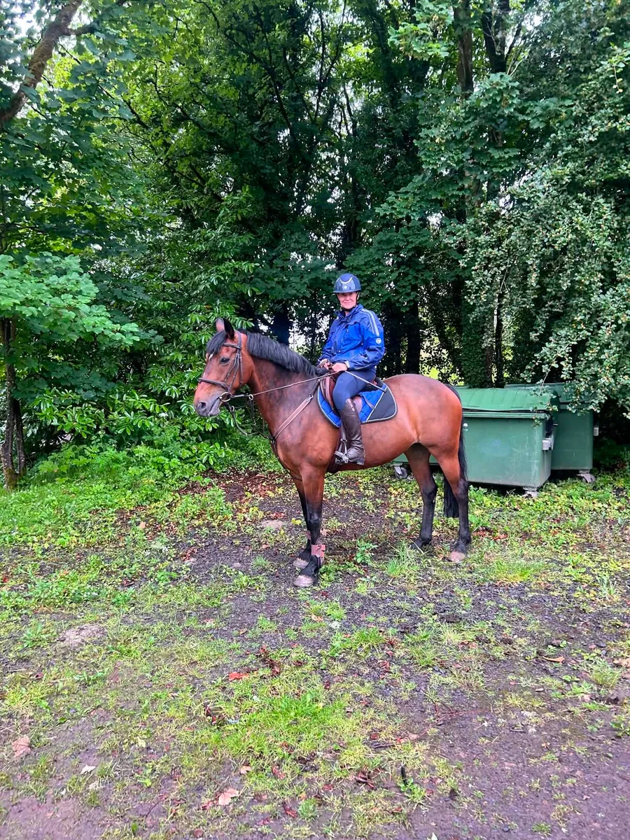 16hh schoolmistress - Image 3