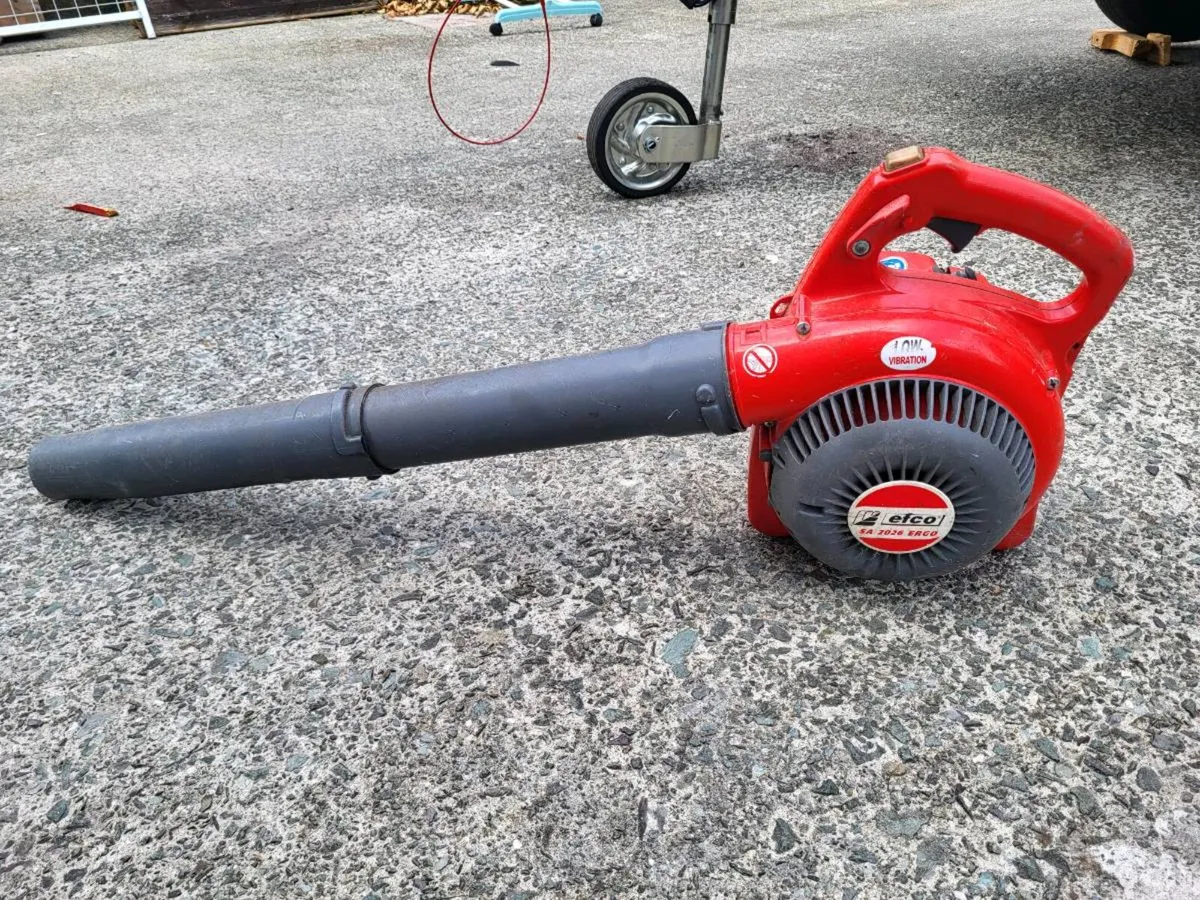 Petrol blower - Image 1