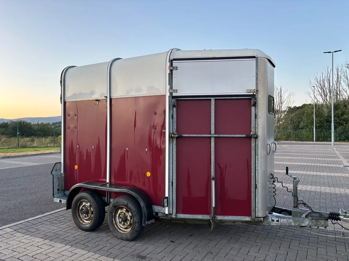 Ifor Williams 505 Horse box - Image 1