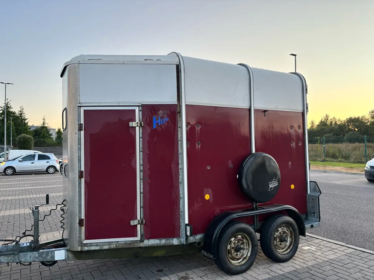 Ifor Williams 505 Horse box - Image 2