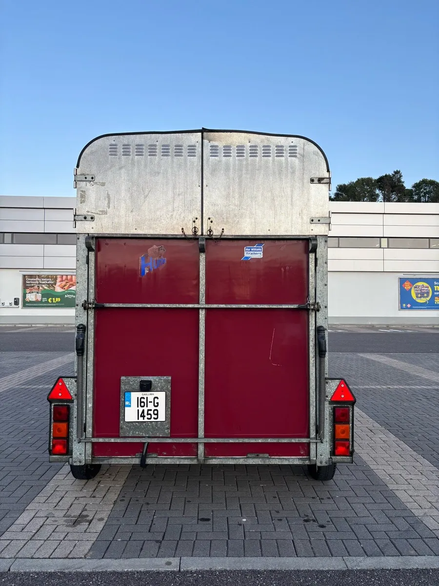 Ifor Williams 505 Horse box - Image 3
