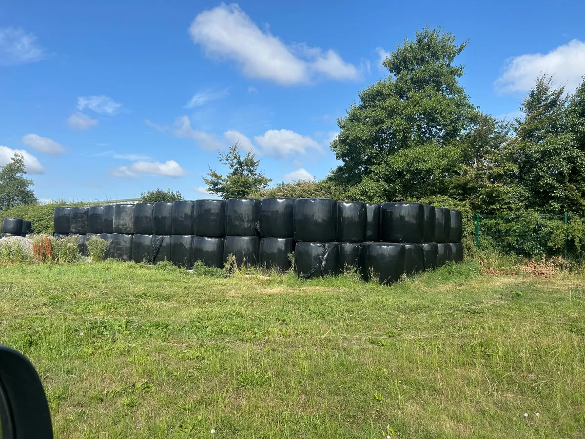 silage and Haylage - Image 4