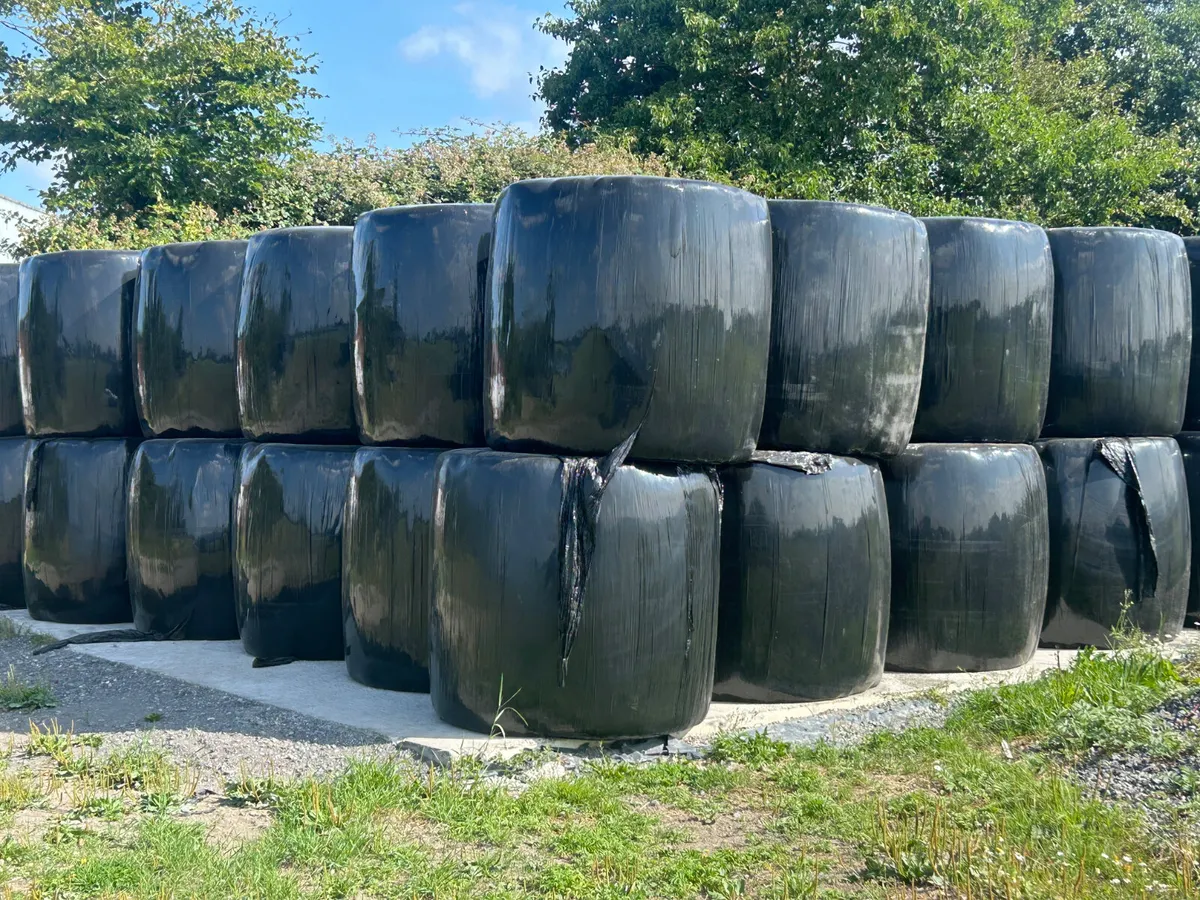 silage and Haylage - Image 1