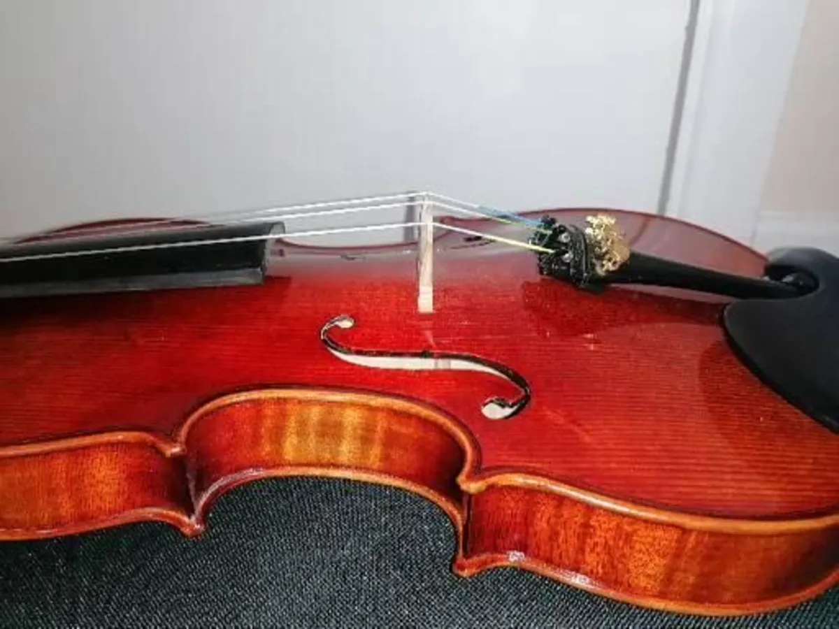 MC Neela Advanced Violin Set - Image 2