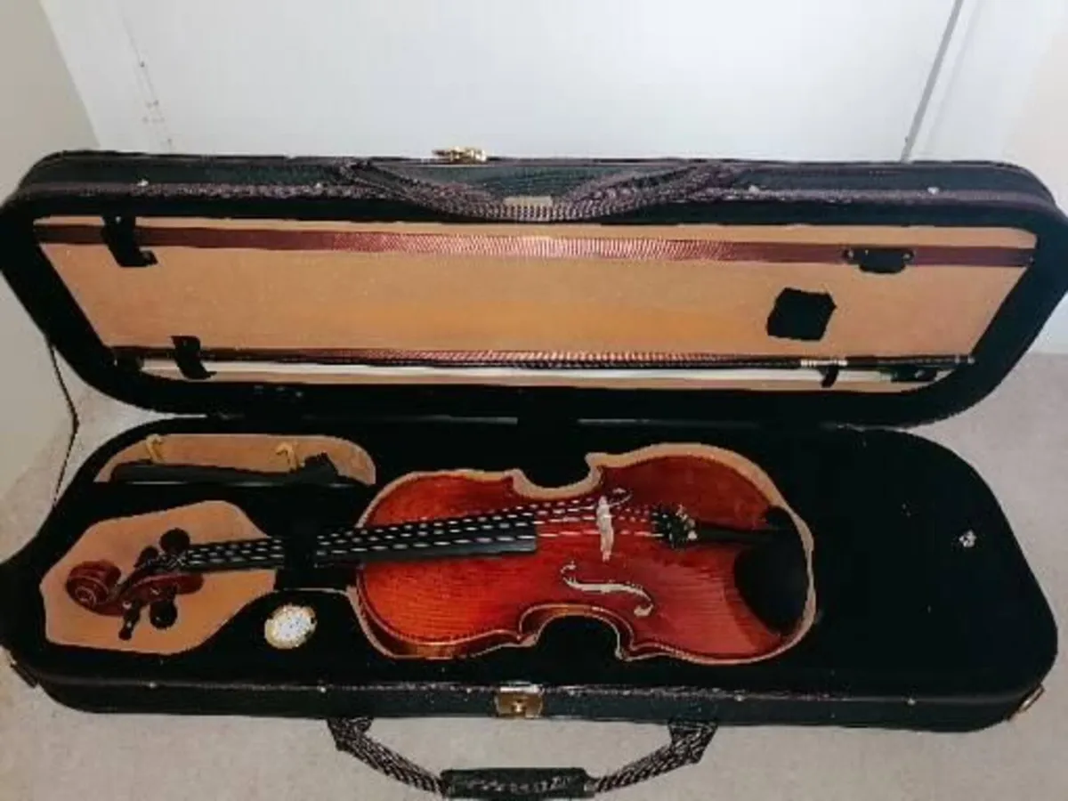 MC Neela Advanced Violin Set - Image 3