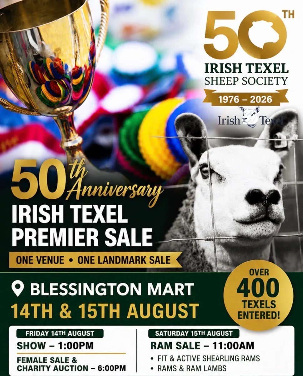 400 Texels for Sale