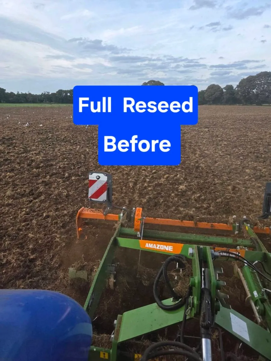Reseeding/ Grass stitching - Image 1