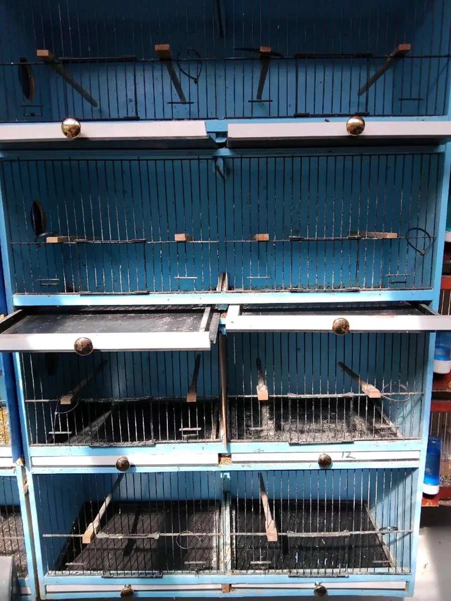 Breeding  cage - Image 1