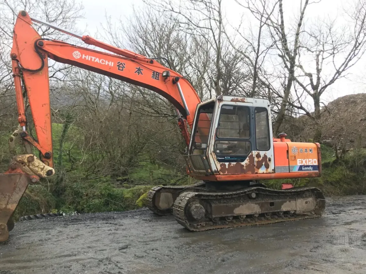 WANTED DIGGERS FOR EXPORT LIAM GORMAN - Image 1
