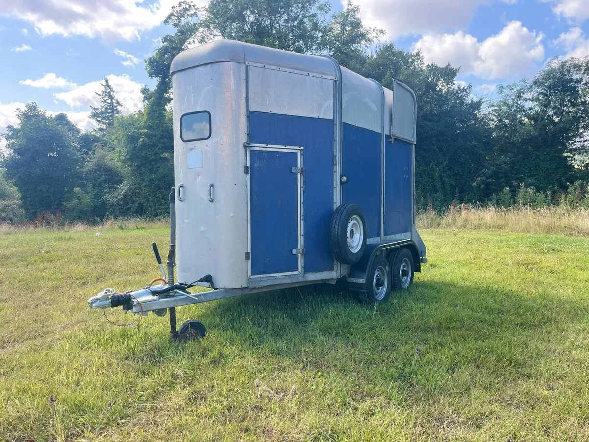 Ivour Williams HB505 Horse Box - Image 1