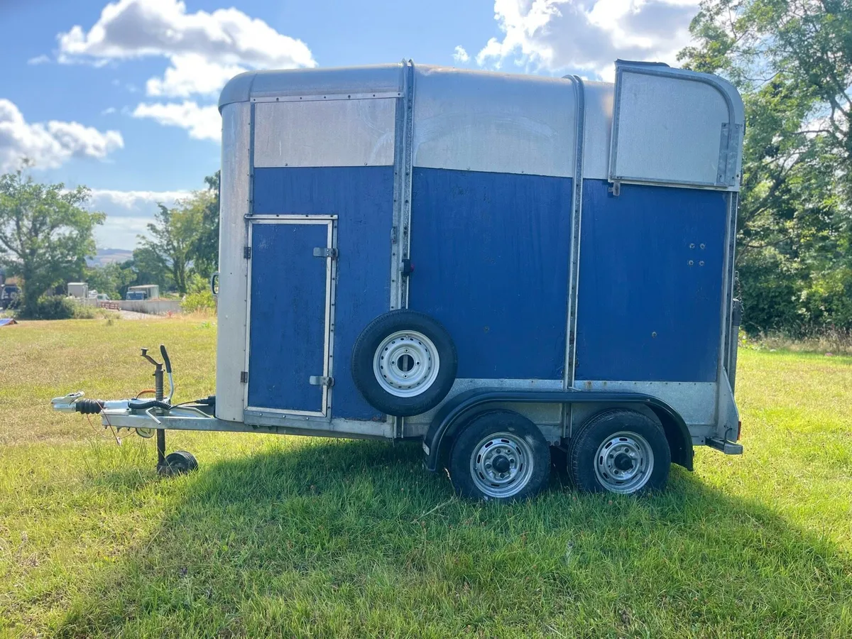 Ivour Williams HB505 Horse Box - Image 2