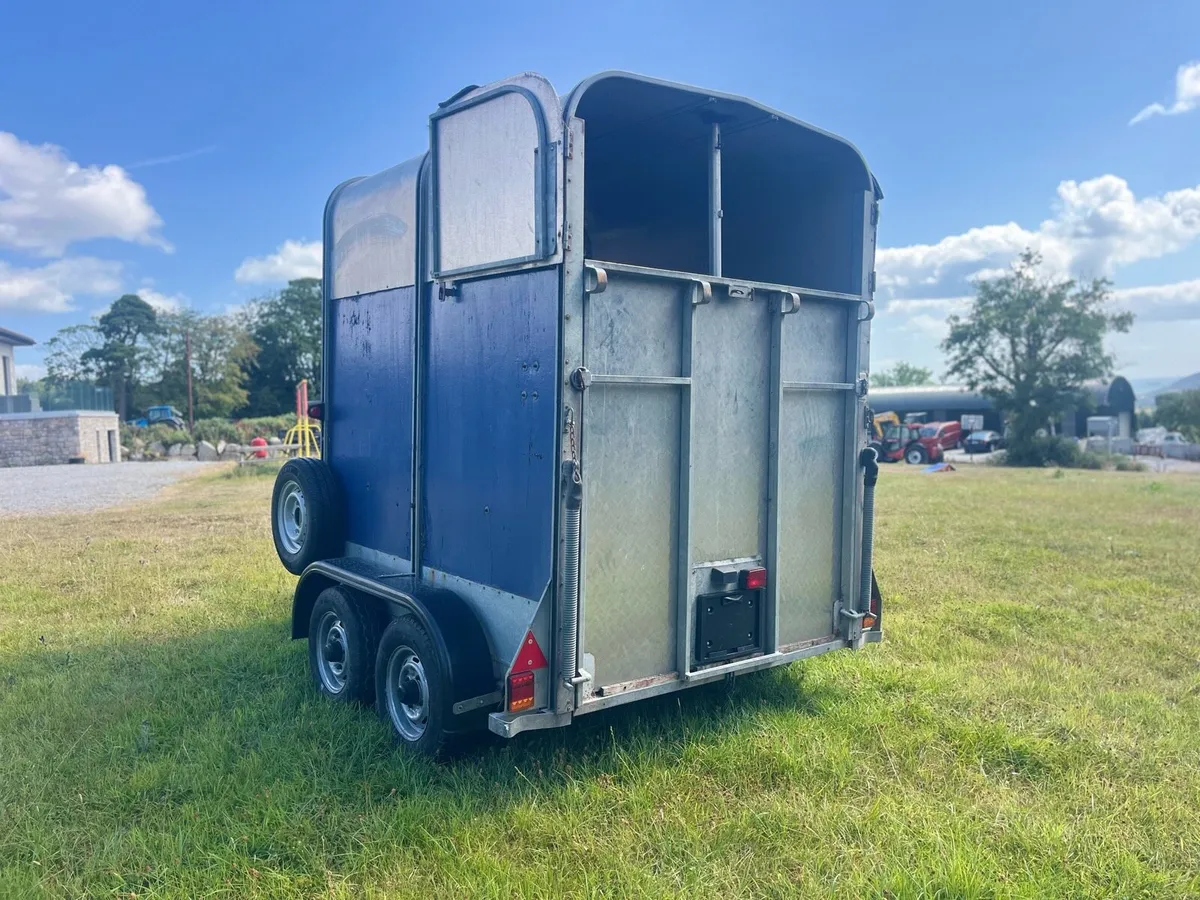Ivour Williams HB505 Horse Box - Image 3
