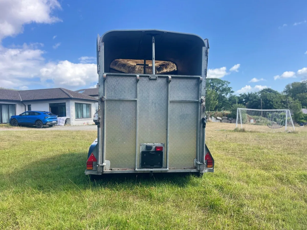 Ivour Williams HB505 Horse Box - Image 4