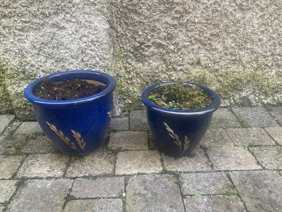 Pots for plants for sale - Image 3