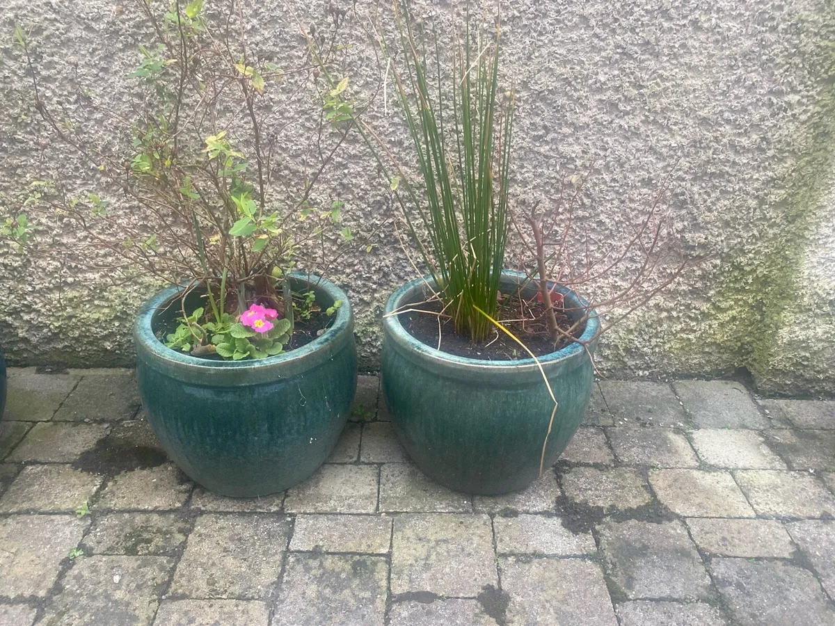 Pots for plants for sale - Image 4