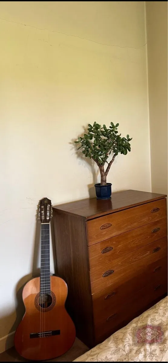 Yamaha Guitar G-170A - Image 3