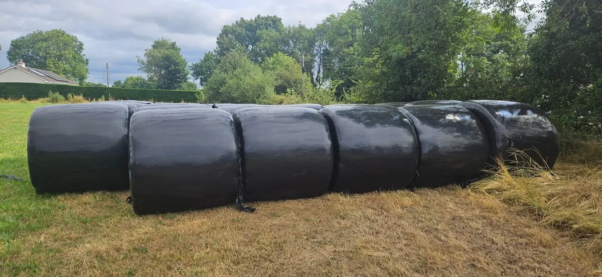 Haylage - Image 3