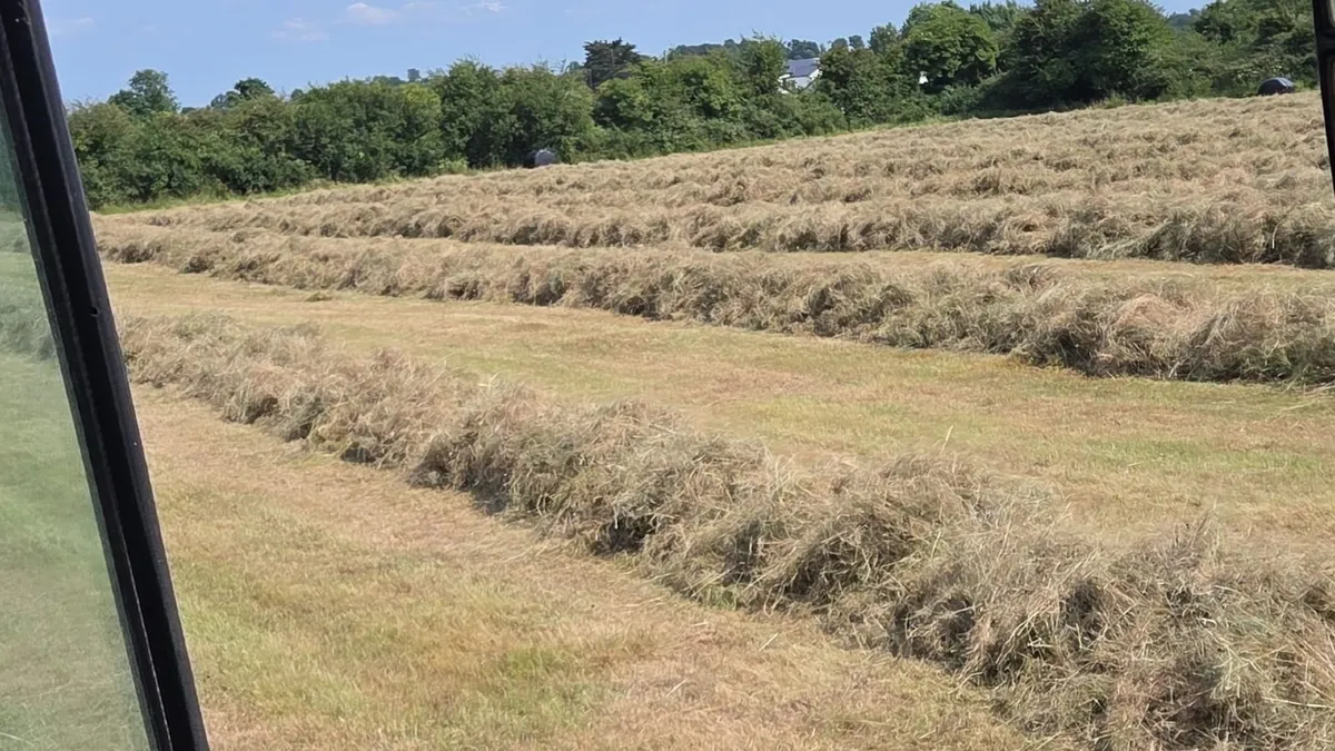 Haylage - Image 1