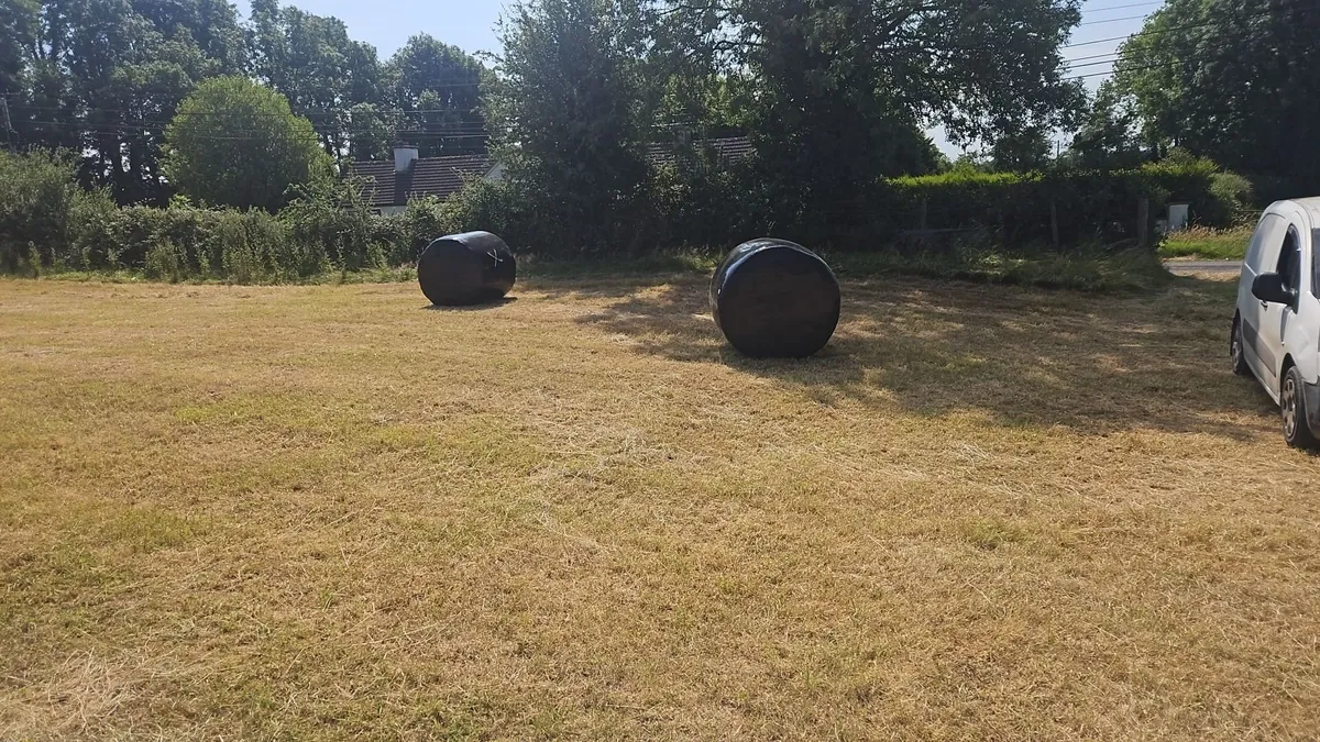 Haylage - Image 2