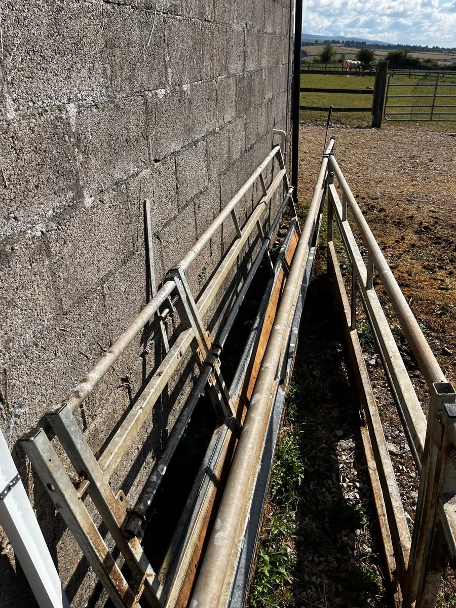 Sheep feeding gates - Image 1