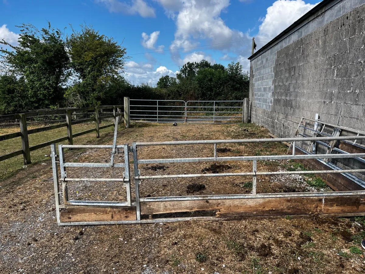 Sheep feeding gates - Image 2