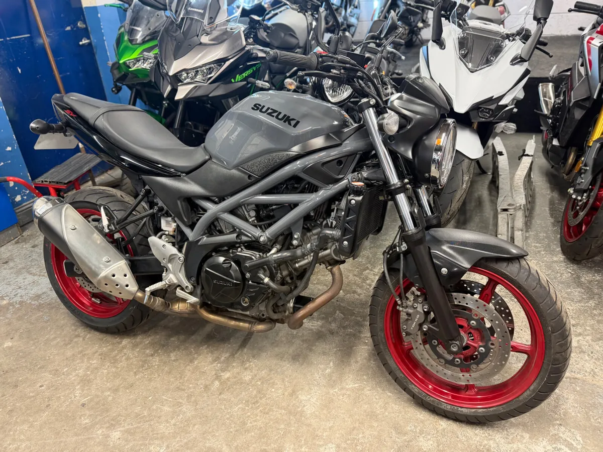 2023 Suzuki SV650 - Image 2