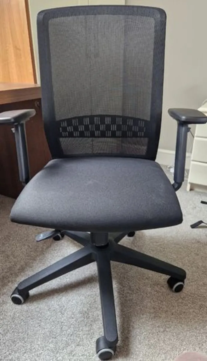 Ergonomic office chair - Image 1