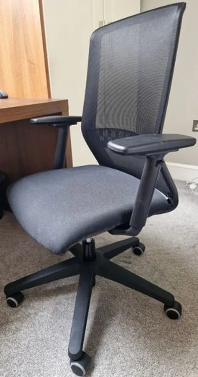 Ergonomic office chair - Image 2