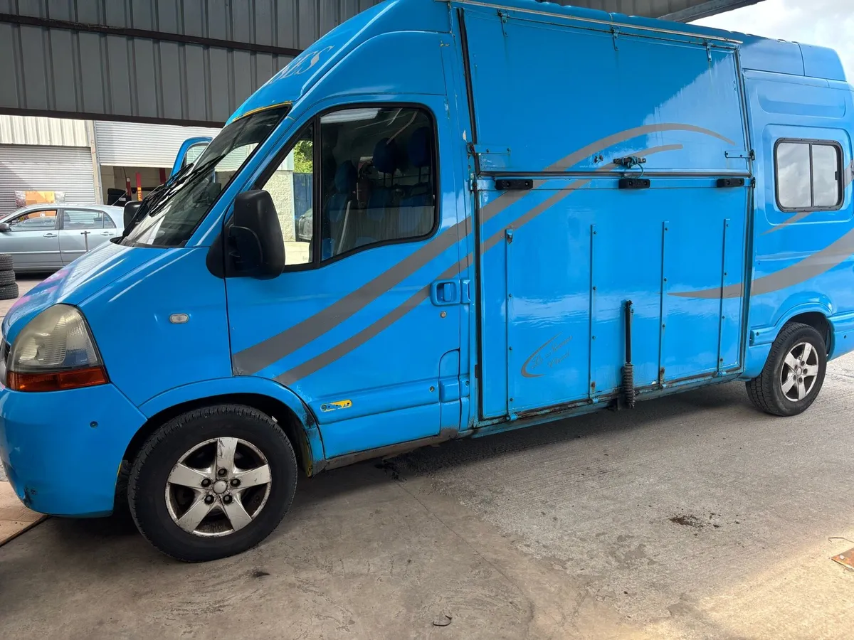 Renault master horse box - Image 2