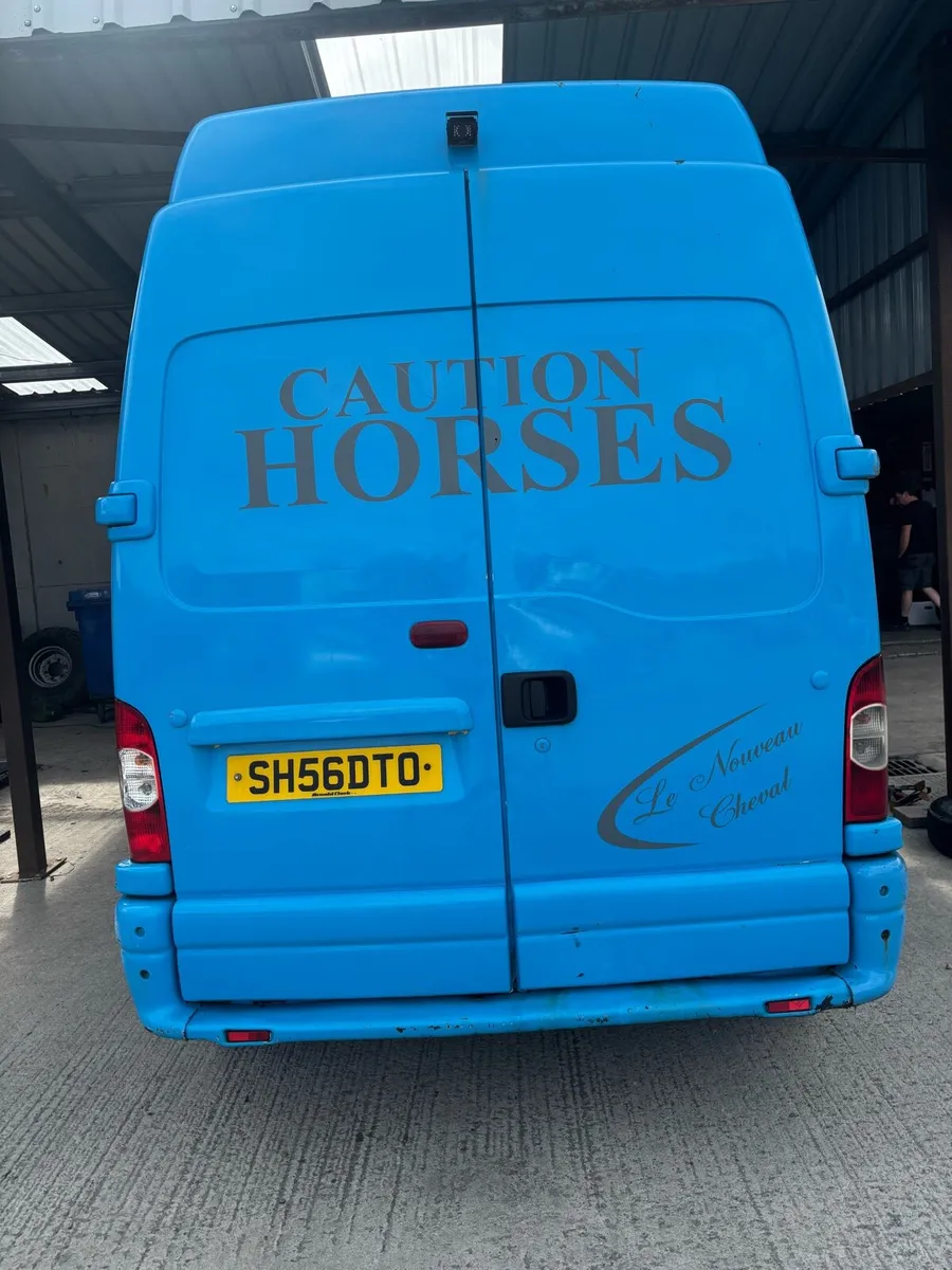 Renault master horse box - Image 3