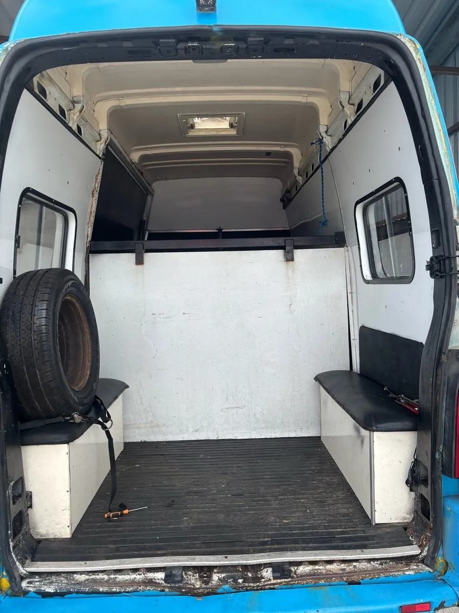 Renault master horse box - Image 4