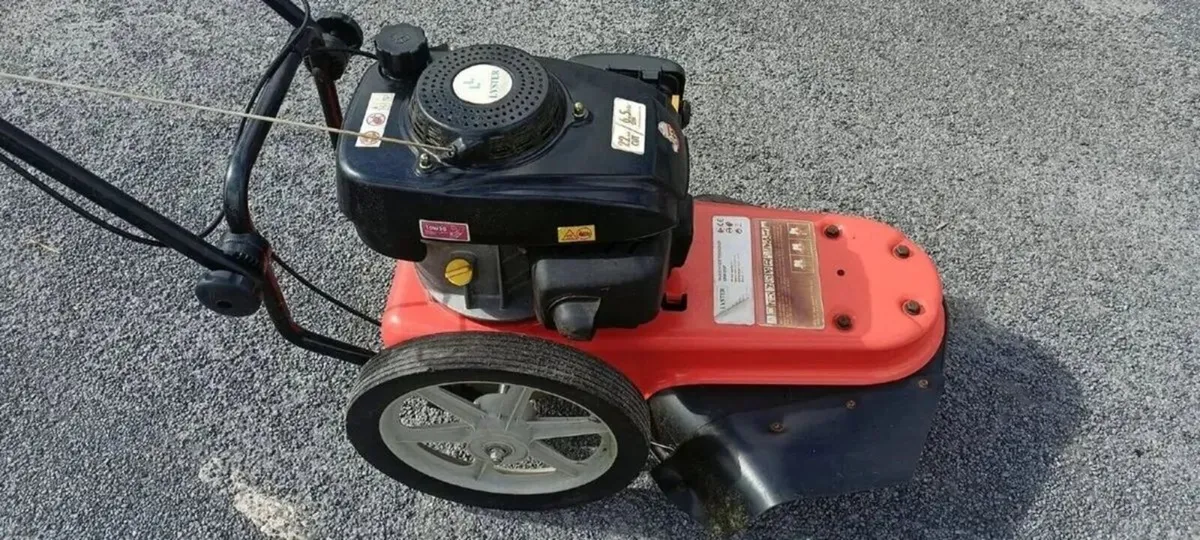 HEAVY DUTY WALK BEHIND STRIMMER FOR HIRE - Image 2