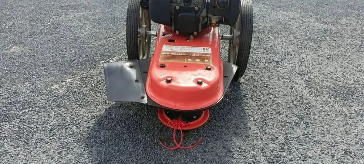 HEAVY DUTY WALK BEHIND STRIMMER FOR HIRE - Image 3