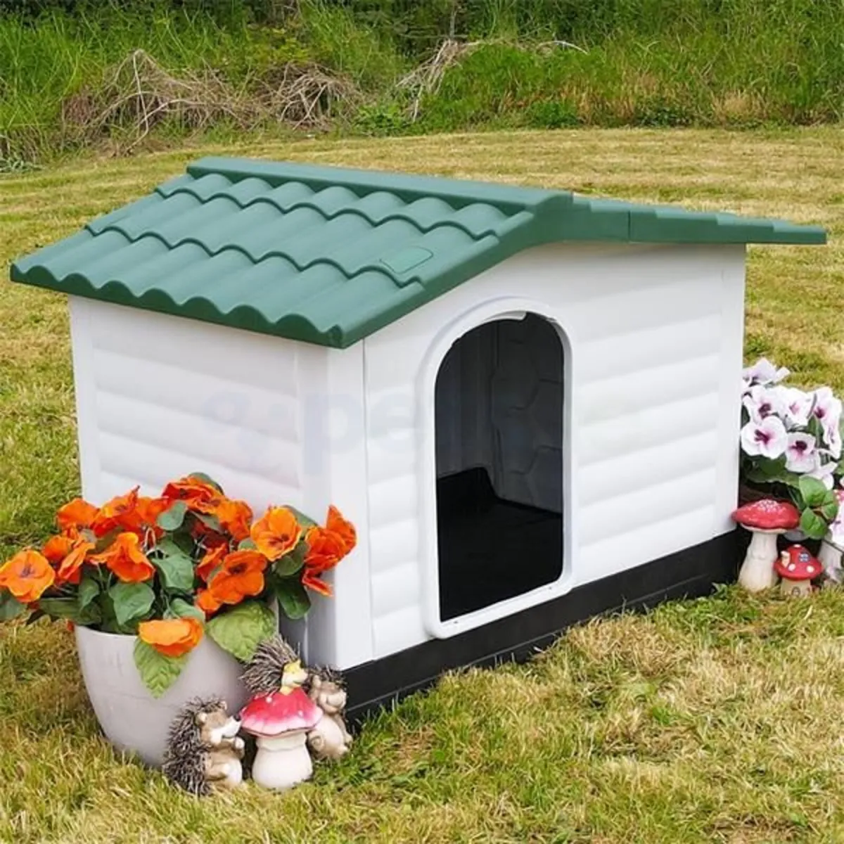 Dog Kennels Box - Image 4