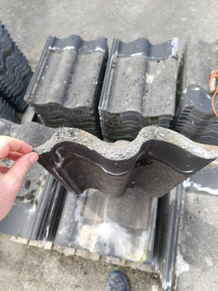 Double Roman condron roof tile - Image 3