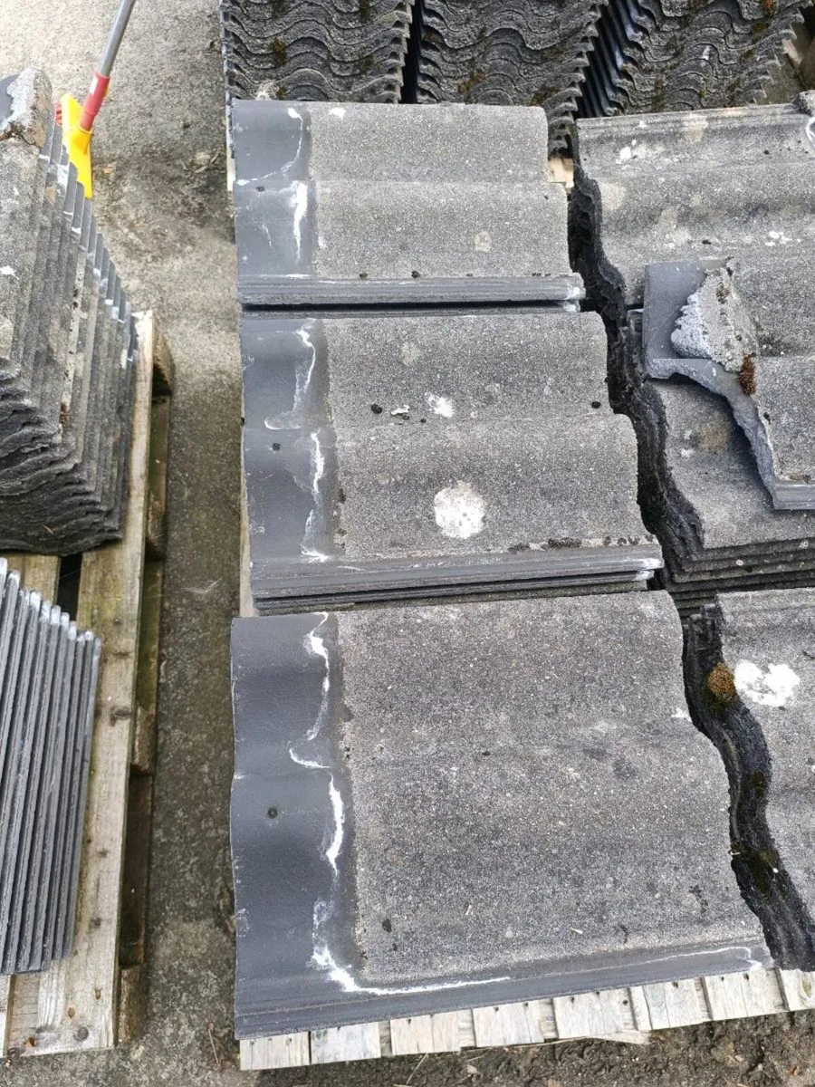 Double Roman condron roof tile - Image 2