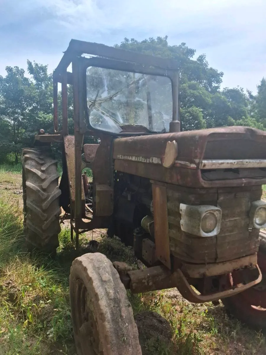 Massey Ferguson 165 - Image 2