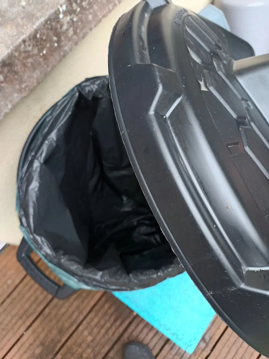 bin - Image 2
