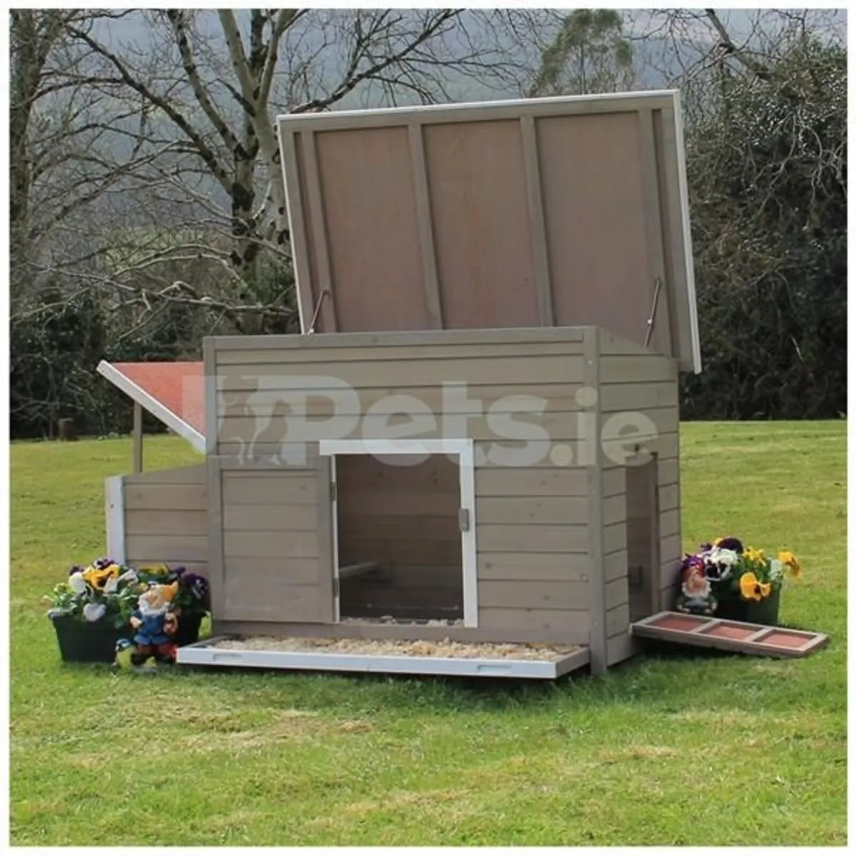 Chicken Coop - Image 2