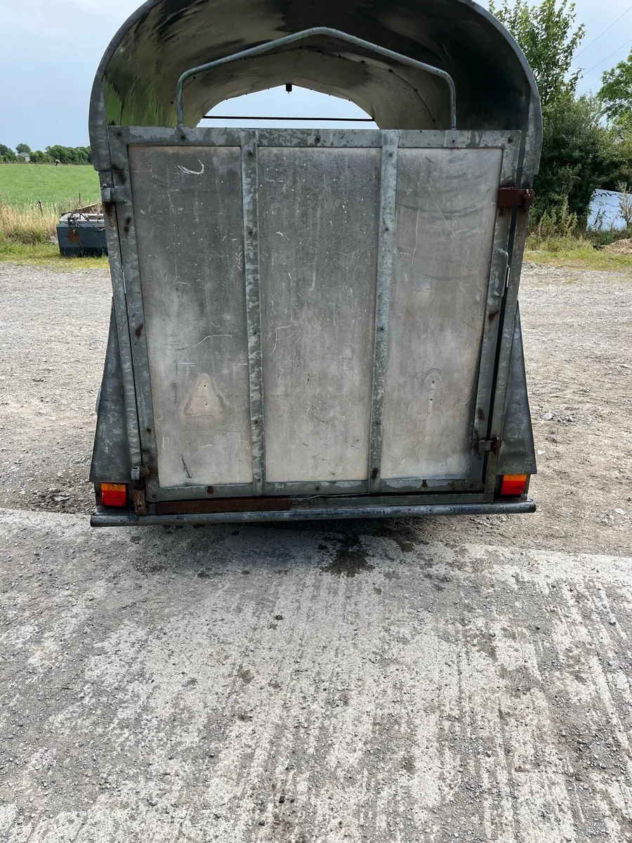 2 Cow Box - Image 2