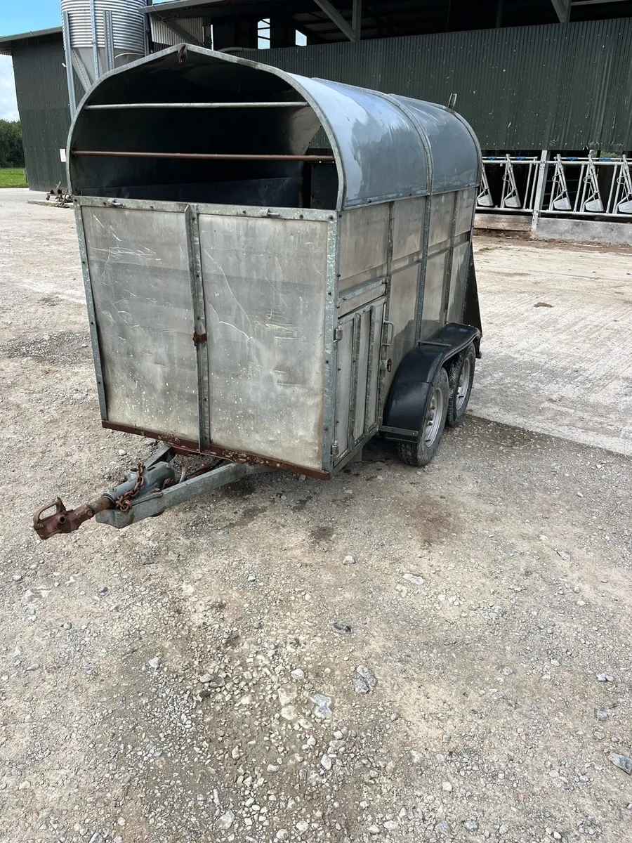 2 Cow Box - Image 1