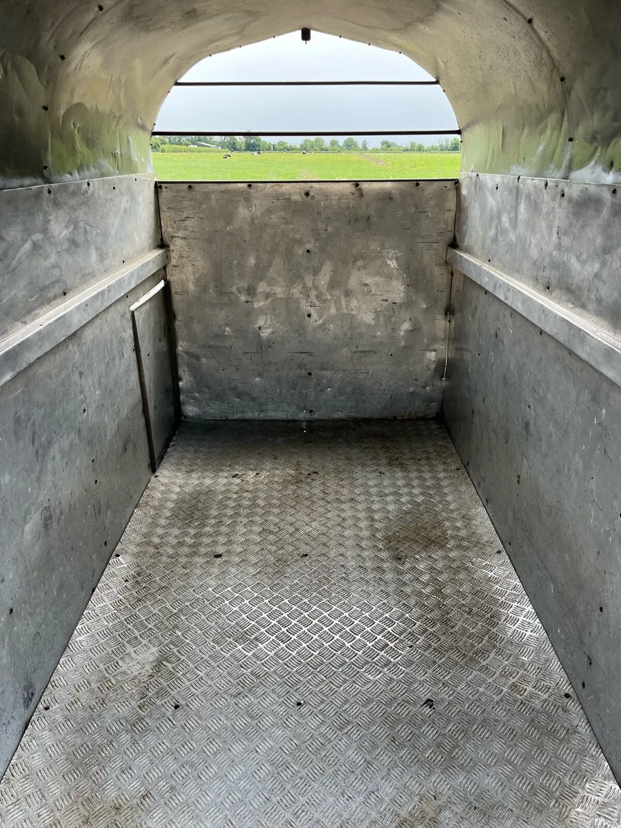 2 Cow Box - Image 4