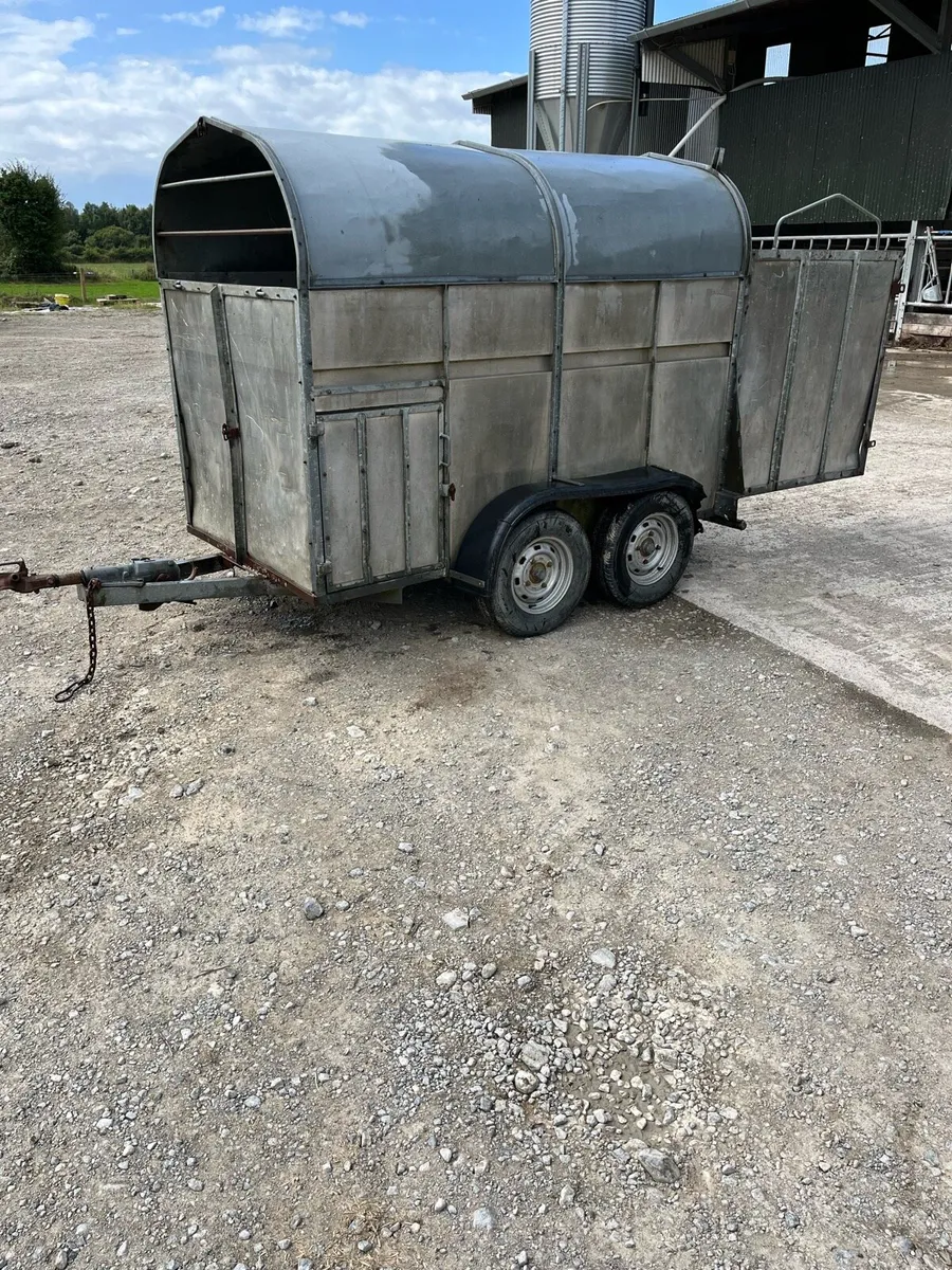 2 Cow Box - Image 3