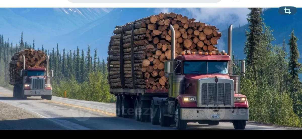 Timber Truck Drivers Wanted