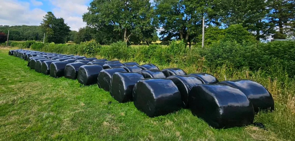 1st Cut Silage Bales - Image 3