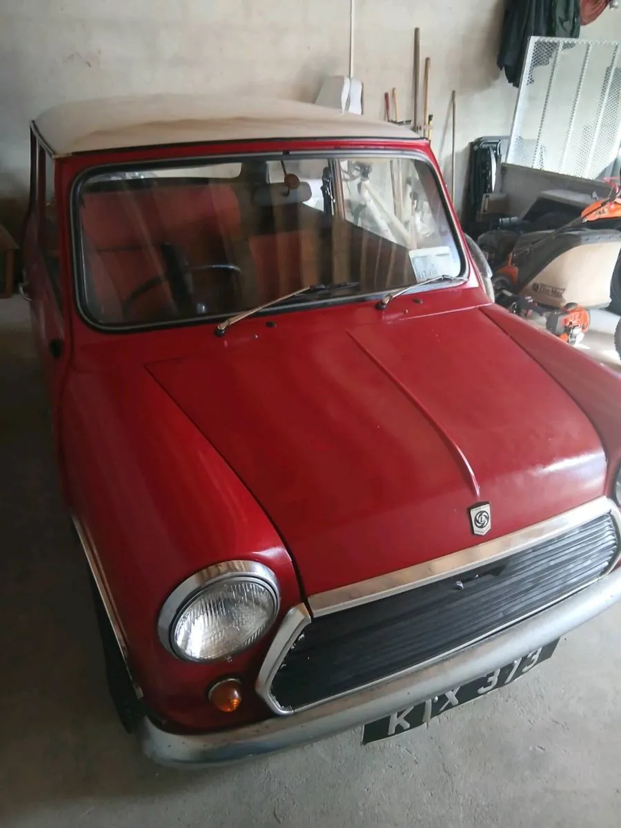 Mini - Image 2