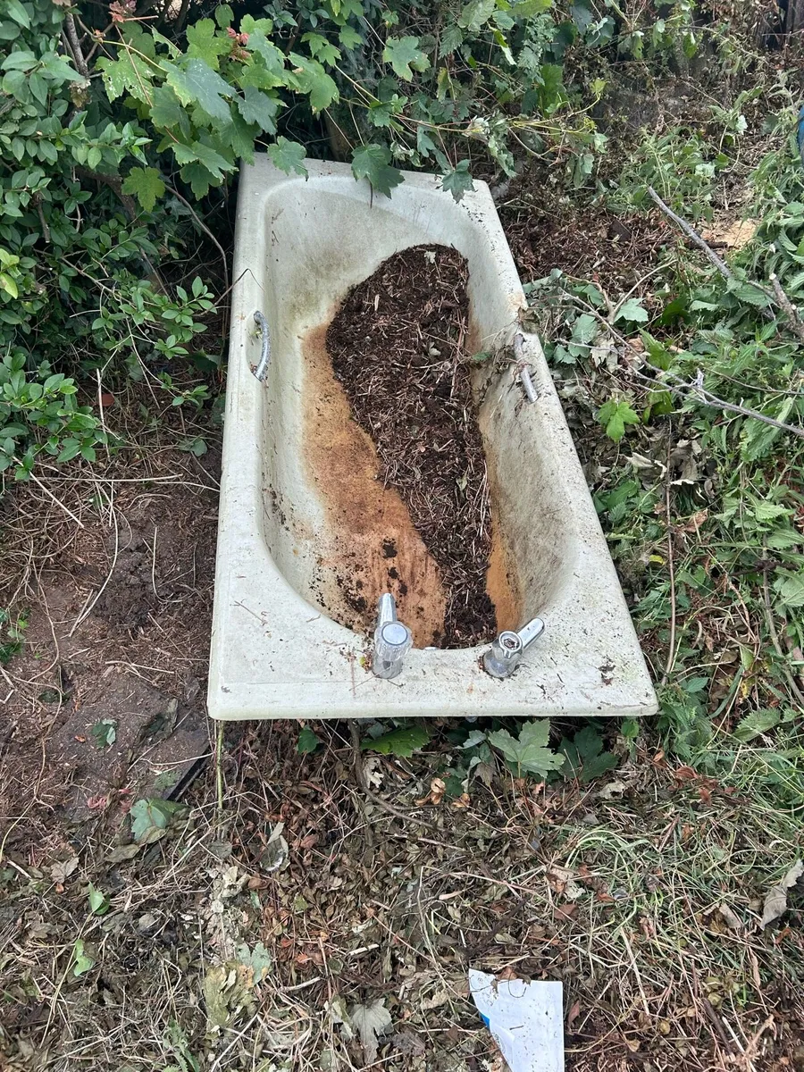 Cast iron bath - Image 1