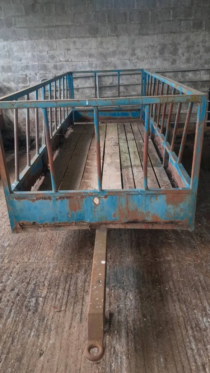 FEED TRAILER/BUFFER FEEDING SILAGE - Image 4